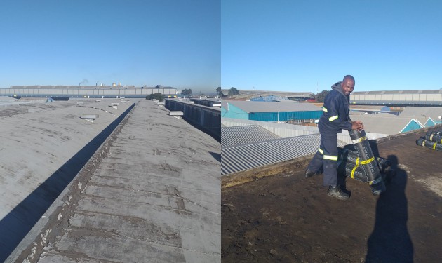 Our Project One Image 2